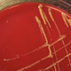 Sphingomonas koreensis, in yellow, on a petri dish